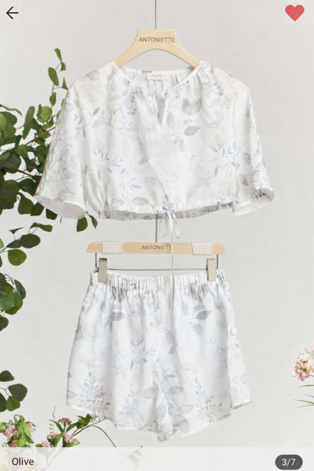 Set olive